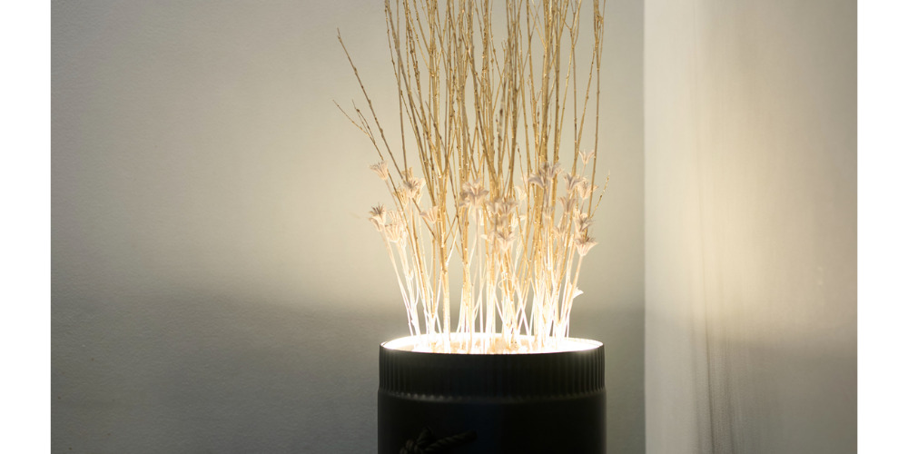 paperボタニカルポット　minari（C&D design decoration）