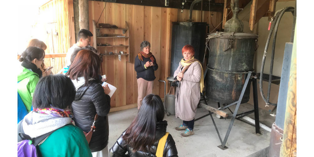 クレイ＆ソルト バスタブレット（アロマ・フランス株式会社）