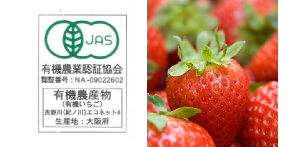 蒼天（そら）いちご（株式会社シーズエスト）