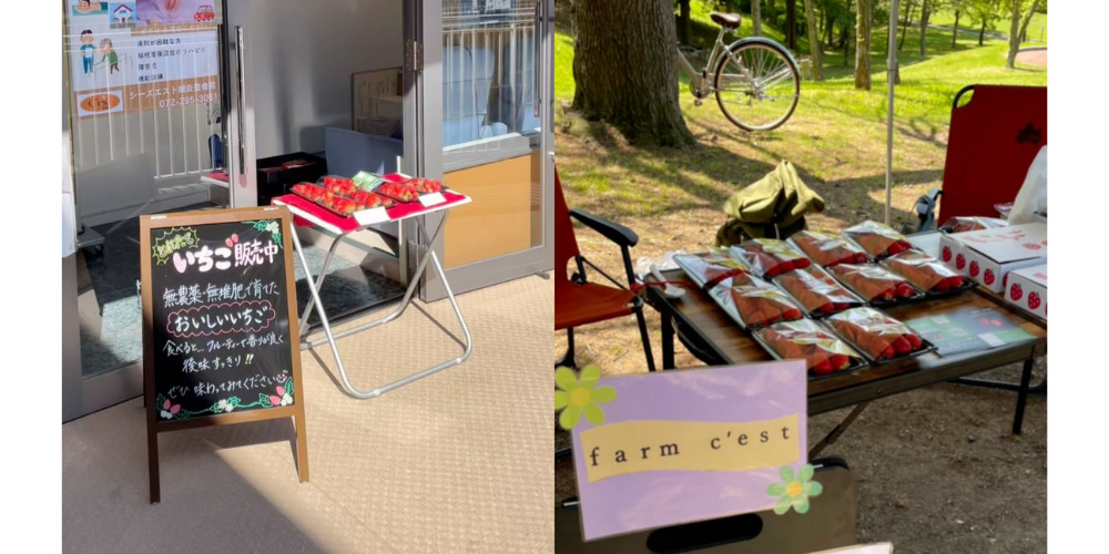 蒼天（そら）いちご（株式会社シーズエスト）