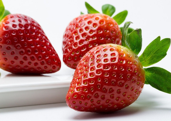 蒼天（そら）いちご（株式会社シーズエスト）- 微生物と完全な自然（循環農法）が育てた、おいしいいちご