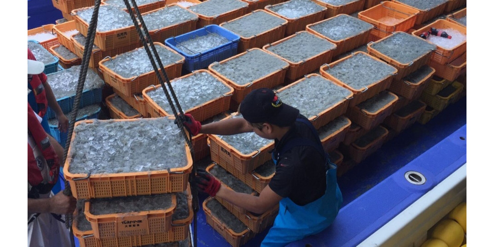 しらすやのうす焼きせんべー（株式会社すまいるぴーぷる）